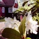 Vallåsens Värdshus